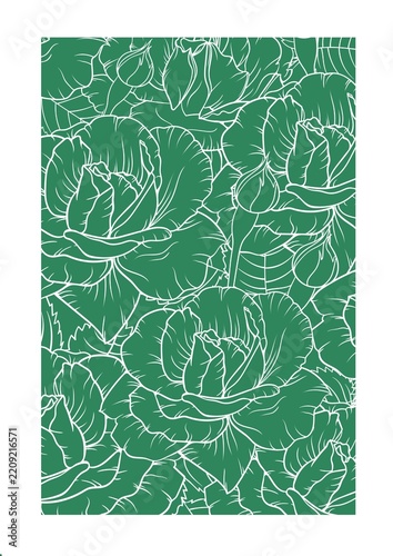 Pattern