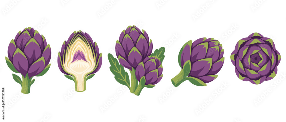 Naklejka premium Purple artichoke set with whole and cutaway views