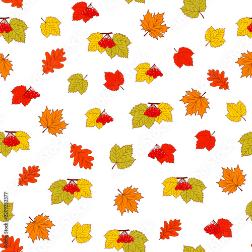 Seamless, isolated autumn pattern featuring vibrant maple, oak, and viburnum leaves and clusters of berries on a white background. Vector illustration of an autumn pattern.