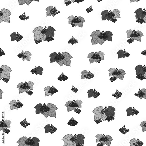 Seamless isolated black and white pattern featuring maple, oak, and viburnum leaves and clusters of berries on a white background. Vector illustration of an autumn pattern.