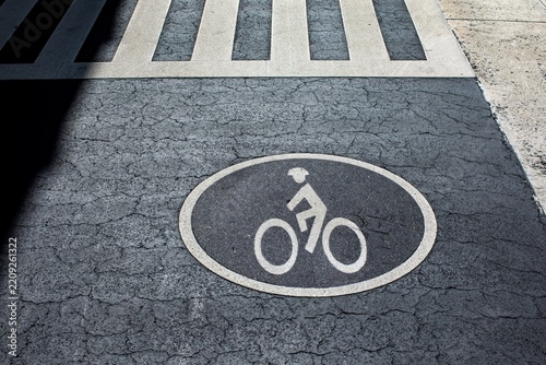 Bicycle lane icon painted inside an oval symbol on cracked dark asphalt pavement near a pedestrian crosswalk