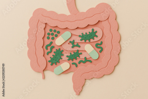 Paper cut craft illustration of digestive system gut balance with green bacteria and capsules on pastel pink background showing intestinal health and microbiome concept