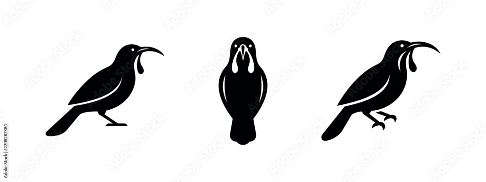 Fototapeta premium Exotic Curved Beak Bird Silhouette Icon Set