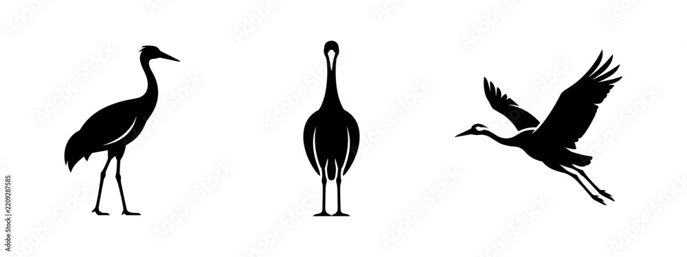 Obraz premium Graceful crane bird silhouettes in standing and flying poses against white background