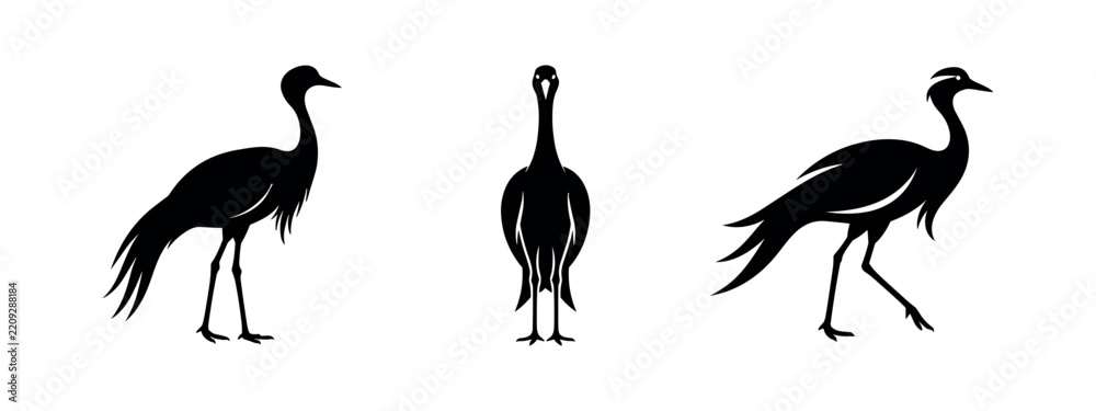 Obraz premium Set of stylized black crane bird silhouettes with feathered details in various elegant poses, on white.