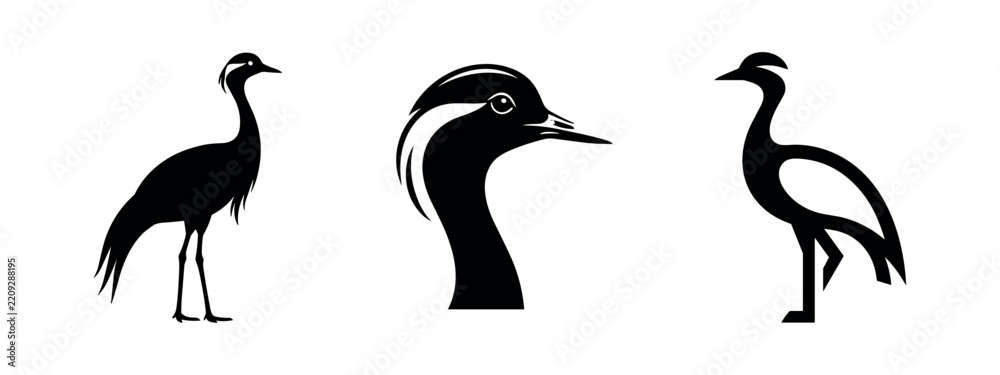 Obraz premium Collection of elegant black and outlined crane bird silhouettes, including a detailed head profile, on white.