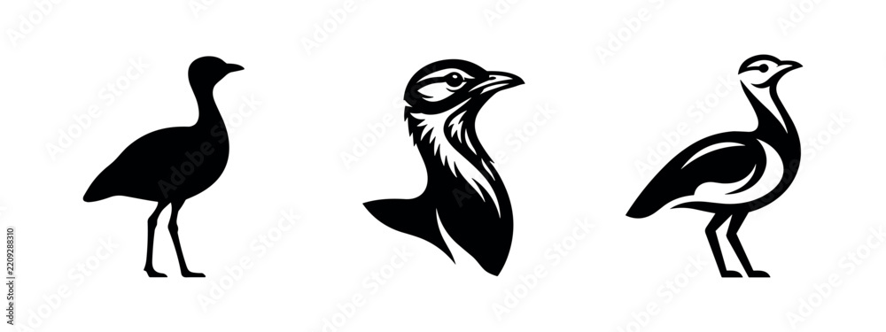 Obraz premium Bustard bird set, including detailed head profile, isolated on white background. Wildlife design elements.