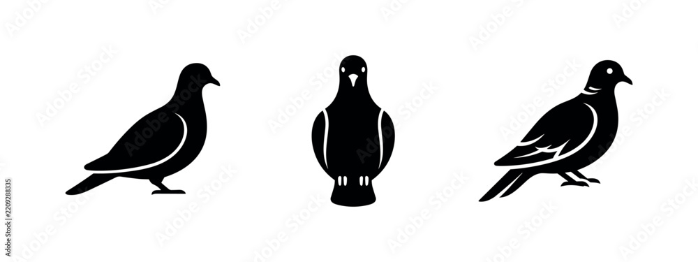 Fototapeta premium Pigeon Silhouette Icons Set - Vector Illustrations of Pigeons in Different Poses, Side and Front View