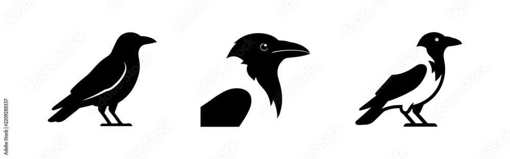 Obraz premium Crow Bird Silhouette Icons - Vector Collection of Ravens, Including Head Profile and Full Body