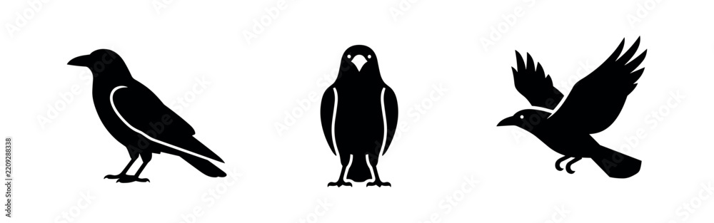 Obraz premium Crow Bird Silhouette Icons Set - Vector Illustrations of Black Crows in Standing and Flying Poses