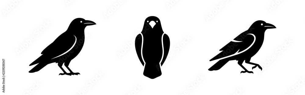 Obraz premium Crow Bird Silhouette Icons - Vector Set of Crows in Standing, Front, and Walking Poses