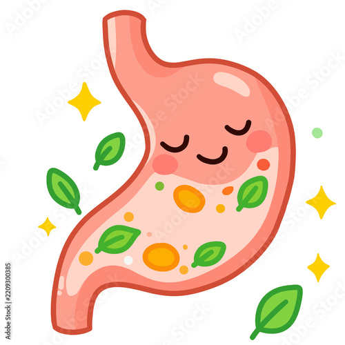 Cute Happy Stomach Illustration