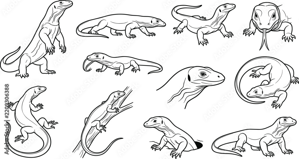 Obraz premium Hand Drawn Lizard Line Art Collection with Lizards, Geckos, Reptiles, Crawling, Climbing, Resting, and Detailed Wildlife Illustrations