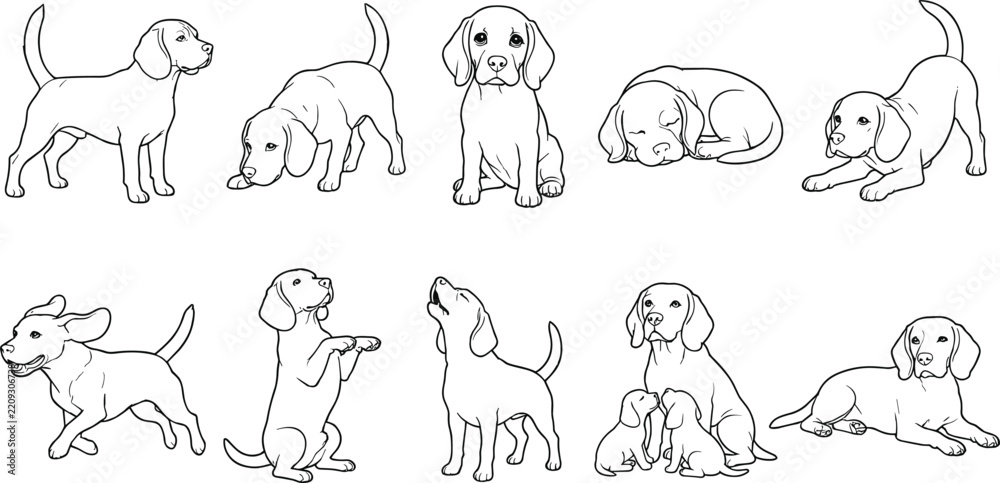 Fototapeta premium Hand Drawn Dog Line Art Collection with Playful Puppies, Sitting, Running, Sleeping, Standing, and Adorable Domestic Canine Illustrations