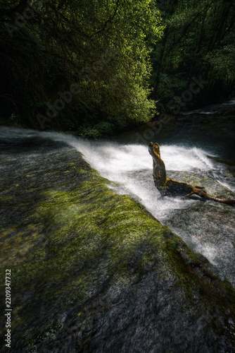 Light and water play with a twisted log at a waterfall