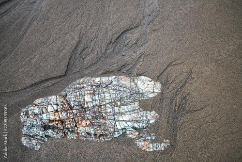 Veined quartz and dendritic lines in the sand form a curious pattern on a beach