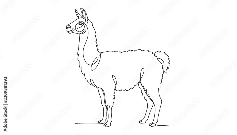 Obraz premium Continuous one single minimal line drawing of a llama