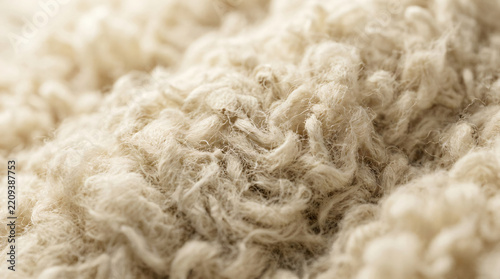 Macro close up of soft sheep wool texture | Cream colored fluffy sherpa fleece fabric | Cozy off white high pile carpet texture | Natural organic wool fiber background