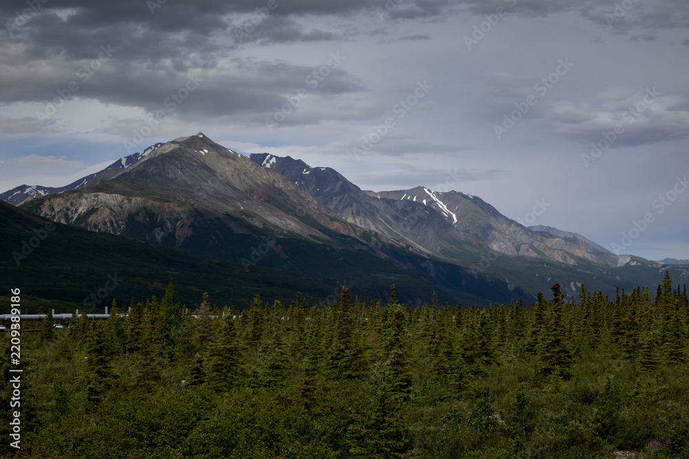 Fototapeta premium Mountains on the Richardson Highway on a summer day in Alaska