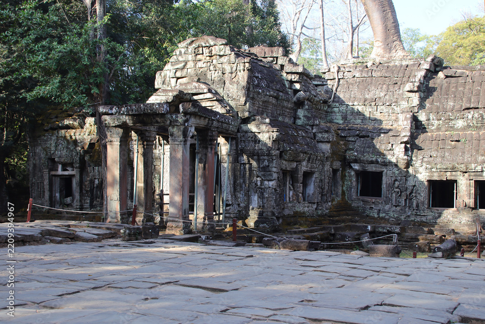 Naklejka premium ruined khmer hindu and buddhist temple (ta prohm) in angkor in siem reap in cambodia 