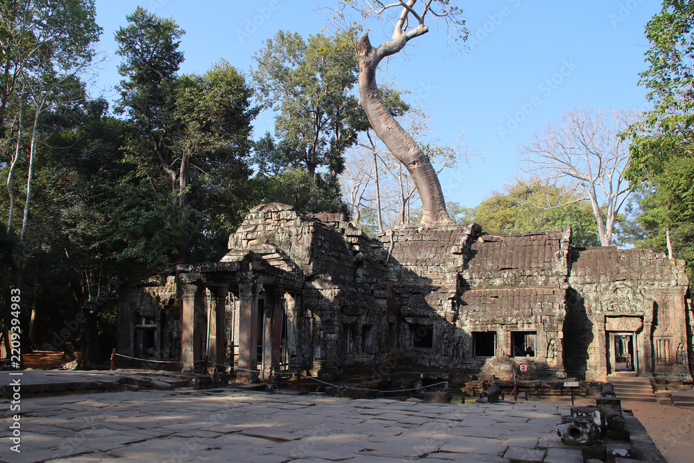 Obraz premium ruined khmer hindu and buddhist temple (ta prohm) in angkor in siem reap in cambodia 