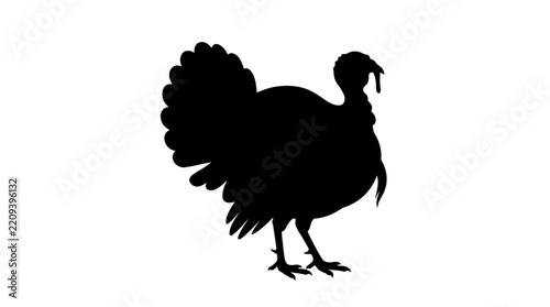 Thanksgiving Turkey Isolated on Transparent Background