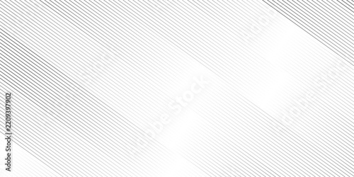 abstract black and white transparent gradient stripe line diagonal curves thin fabric textile line. vector oblique line transparent wavy fabric web geometric pattern technology texture design.