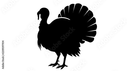 Thanksgiving Turkey Isolated on White Background