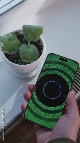 POV of holding smartphone using AI voice assistant to diagnose houseplant