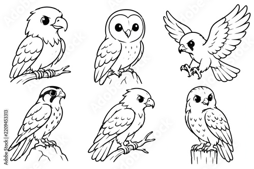set of birds