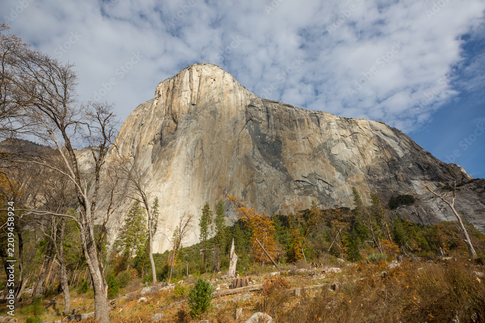 Obraz premium Autumn in Yosemite