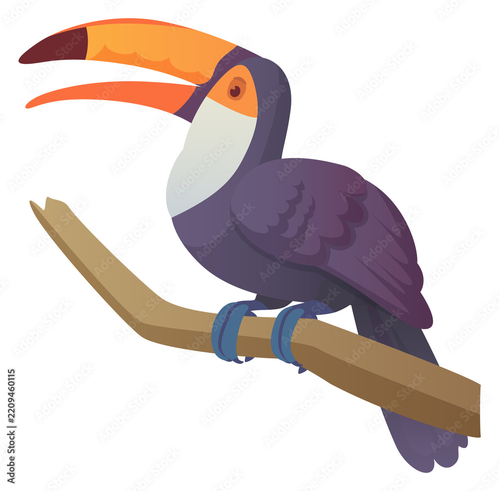 Obraz premium Toucan sit on tree. Jungle bird cartoon icon