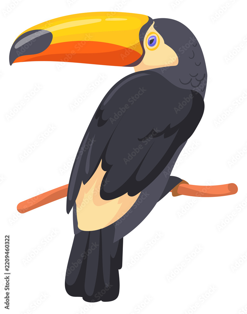 Obraz premium Toucan bird cartoon icon. Tropical exotic animal