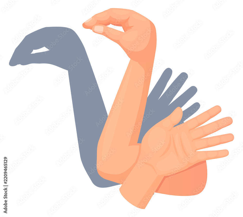 Obraz premium Turkey shadow hand gesture. Wall theater play
