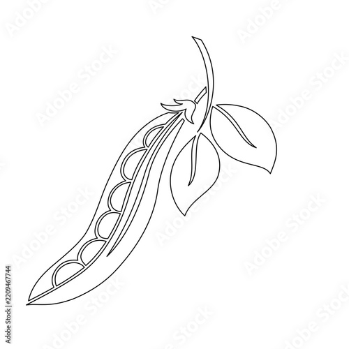 peanut line art