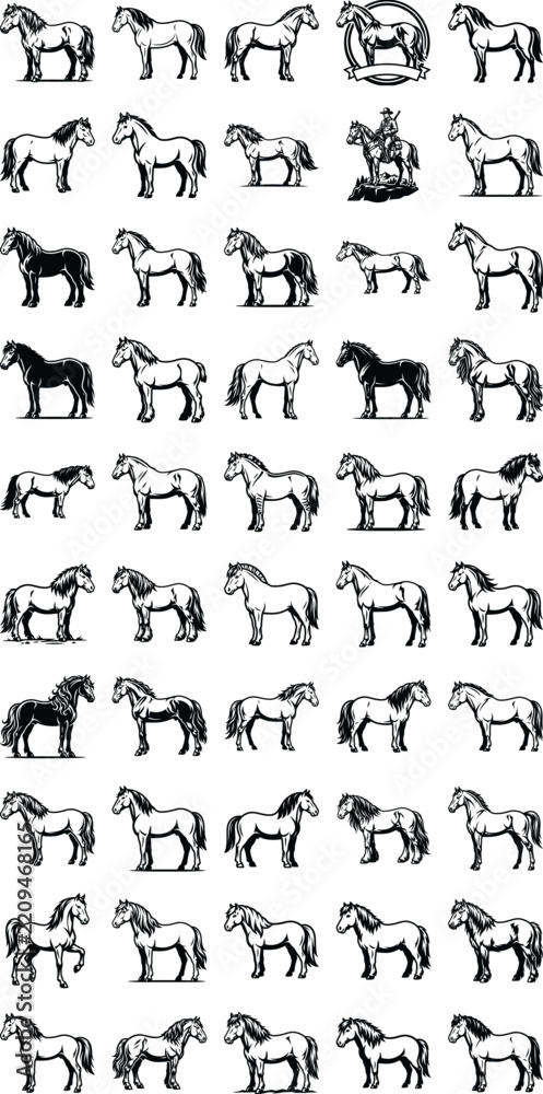 Fototapeta premium 49+ Diverse Horse Breed Illustrations: A collection of graphic illustrations showcasing various horse breeds, each rendered in a static pose, highlighting their distinct characteristics and forms.