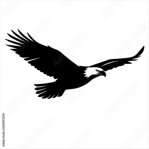 Bald eagle in flight silhouette vector illustration with flying bird