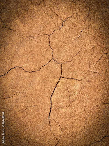 Dry Cracked Earth Surface Texture with Warm Brown Tones and Patterns