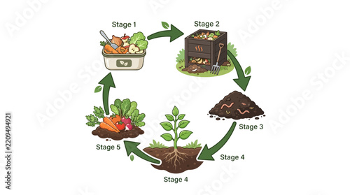 Illustrated Compost Cycle Showing Food Waste Recycling into Organic Garden Fertilizer and Growing Vegetables in a Circular Process