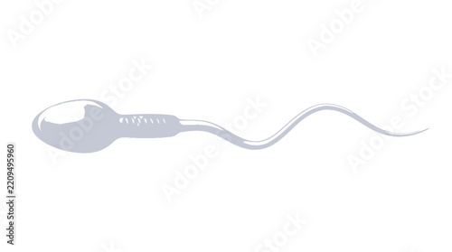 Single human sperm cell swimming on a white background
