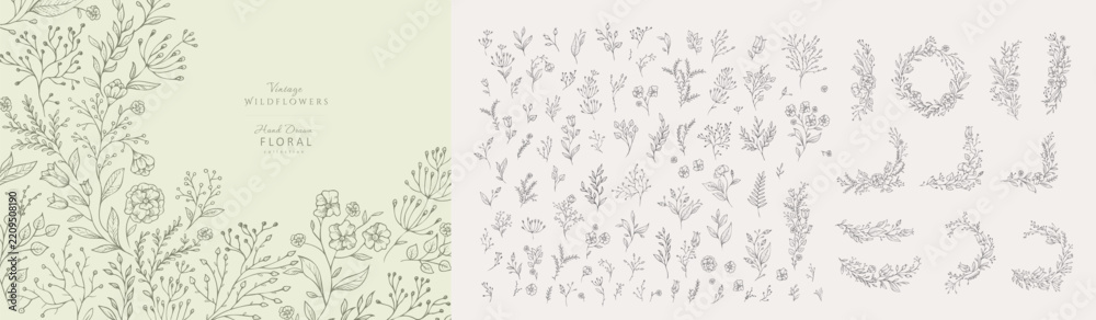 Obraz premium Set of hand drawn flowers and elements. Whimsy botanical elements for invitation, save the date card. Botanical doodle trendy greenery