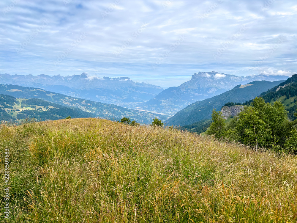 Obraz premium Alpine meadow with panoramic mountain view in Les Contamines-Montjoie, France