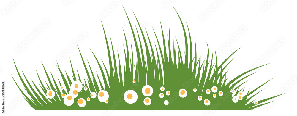 Obraz premium Meadow blooming grass color icon. Greenery patch