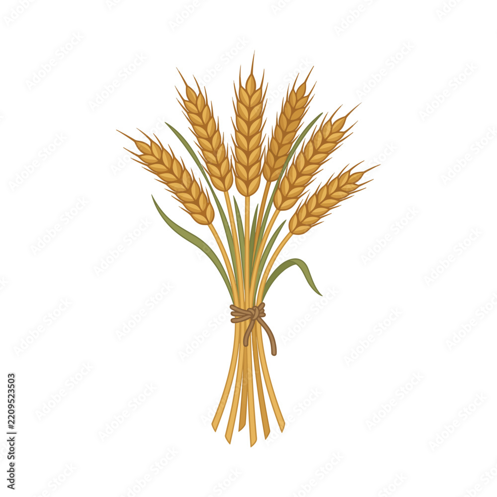 Fototapeta premium Abstract wheat vector graphic with optical illusion stripe effect