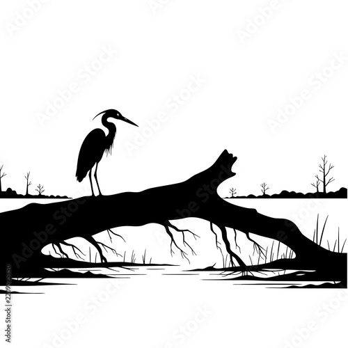 Heron Fallen Cypress Trunk Swamp Horizon Silhouette