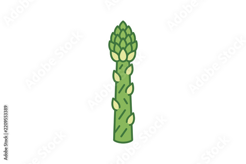 Asparagus Spear Flat Vector Illustration