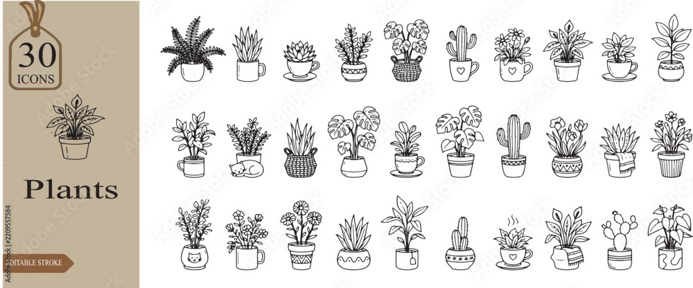 Fototapeta premium vector illustration of a set of A simple leaf, monstera, or cactus in a geometric pot. back and white line art vectors 