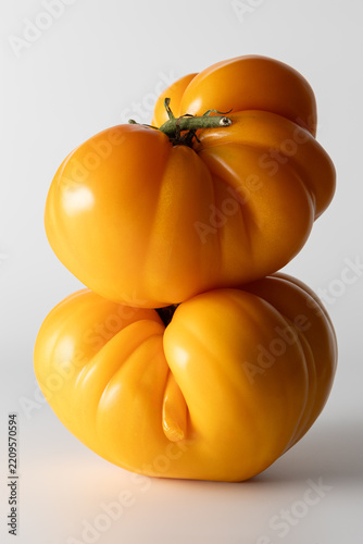 Organic yellow tomato still life in minimalist studio