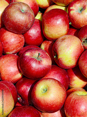 Apples for sale at Market Square