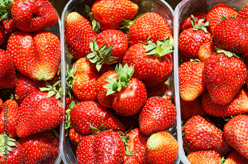 Freshly picked fresh strawberries background